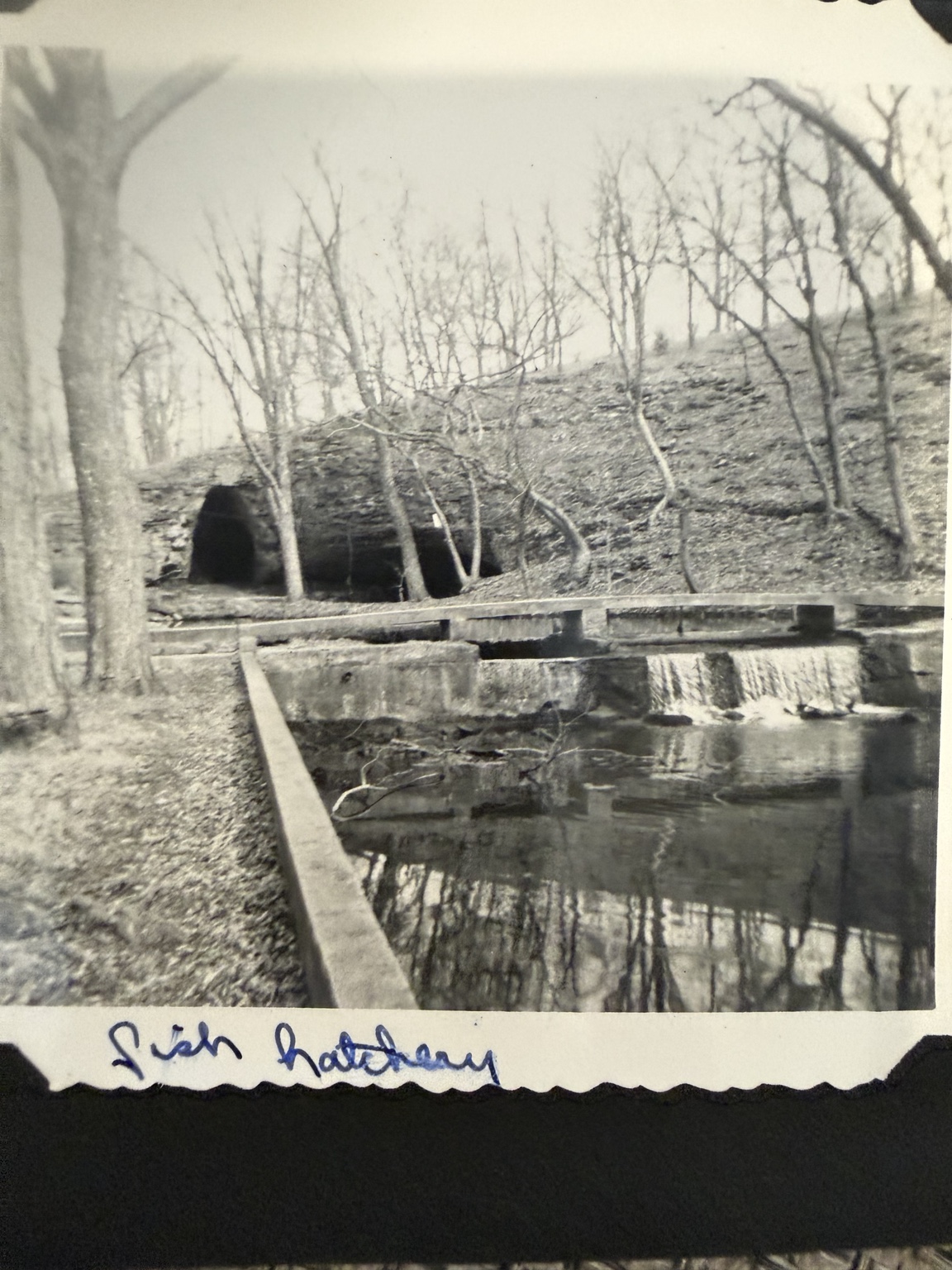 Sequiota hatchery pools, bluff and cave openings, with the handwritten caption “fish hatchery.”