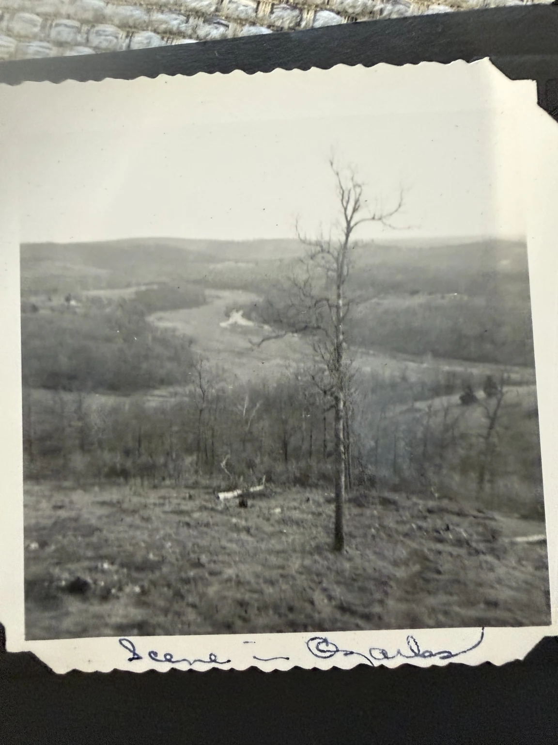 “Scene in Ozarks” (original caption). A hillside landscape from the family wedding-trip collection. Exact place and date are unconfirmed.