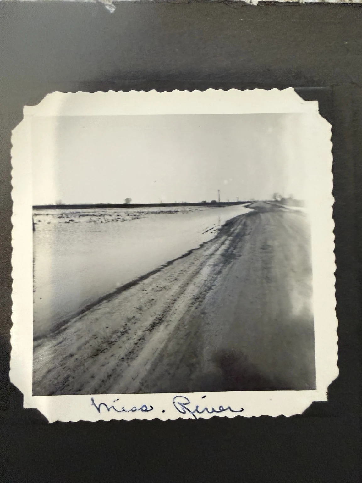 “Miss. River” (original caption). A view along the riverbank. Exact viewpoint and date are unconfirmed.