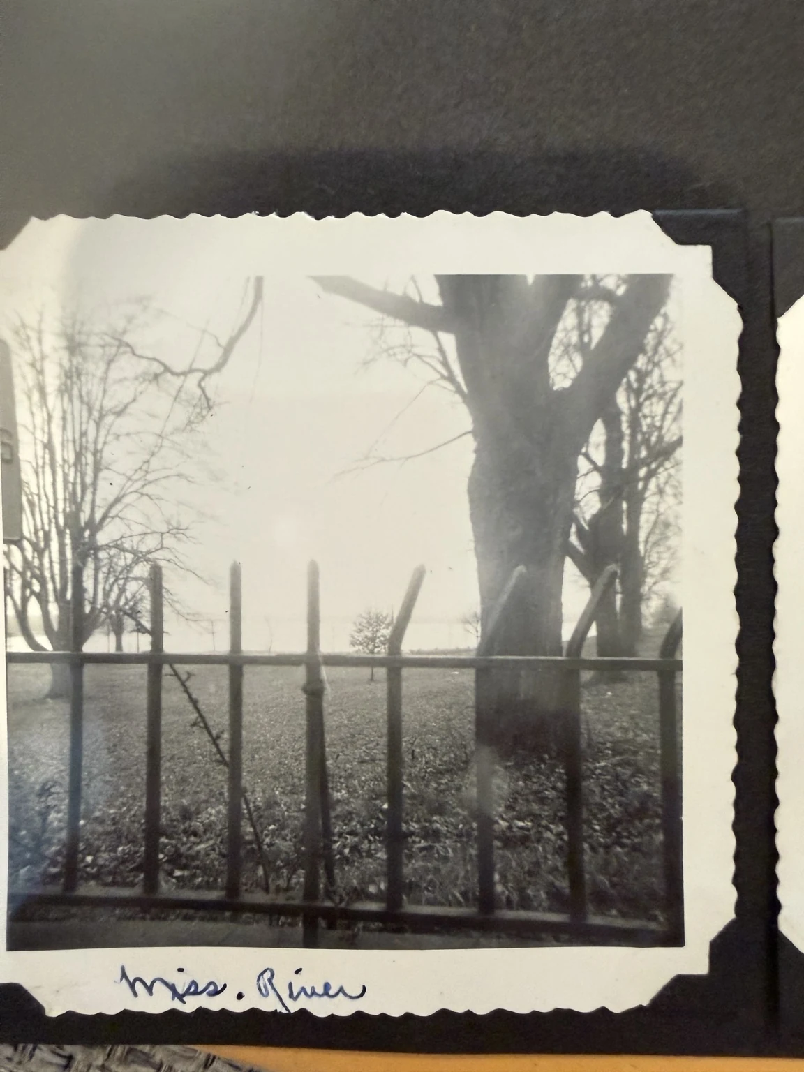 “Miss. River” (original caption). The river seen past a fence and tree. Exact viewpoint and date are unconfirmed.