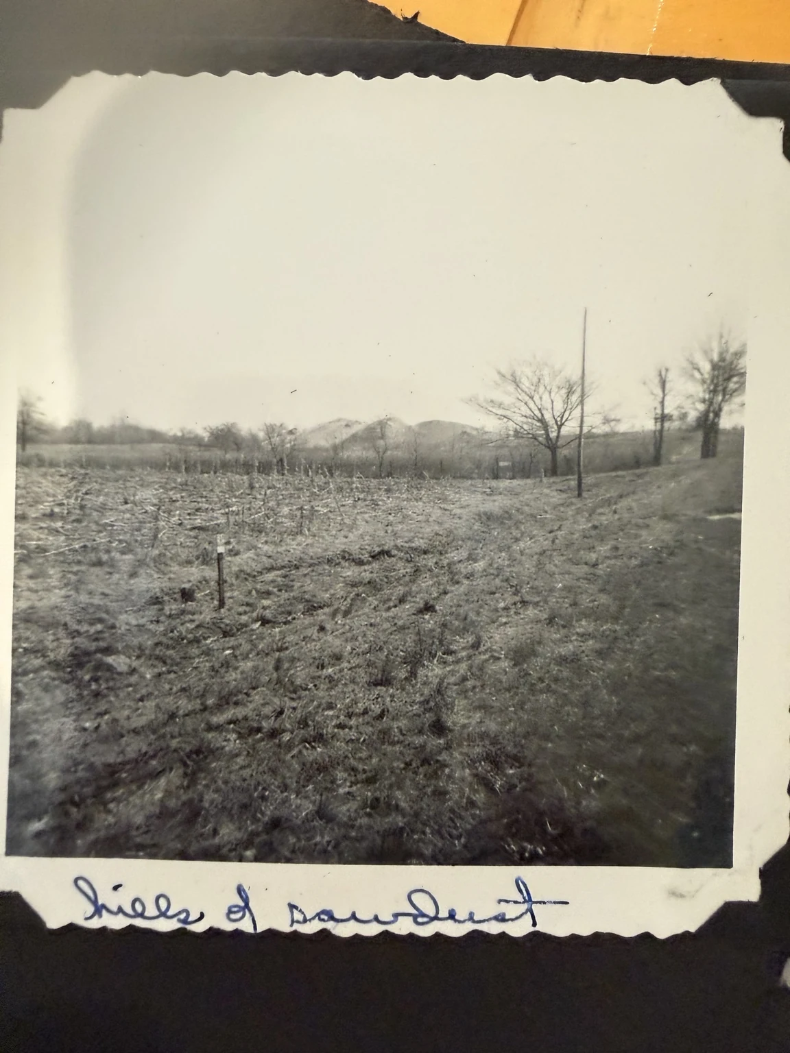 “hills of sawdust” (original caption). The location and exact date are unconfirmed.