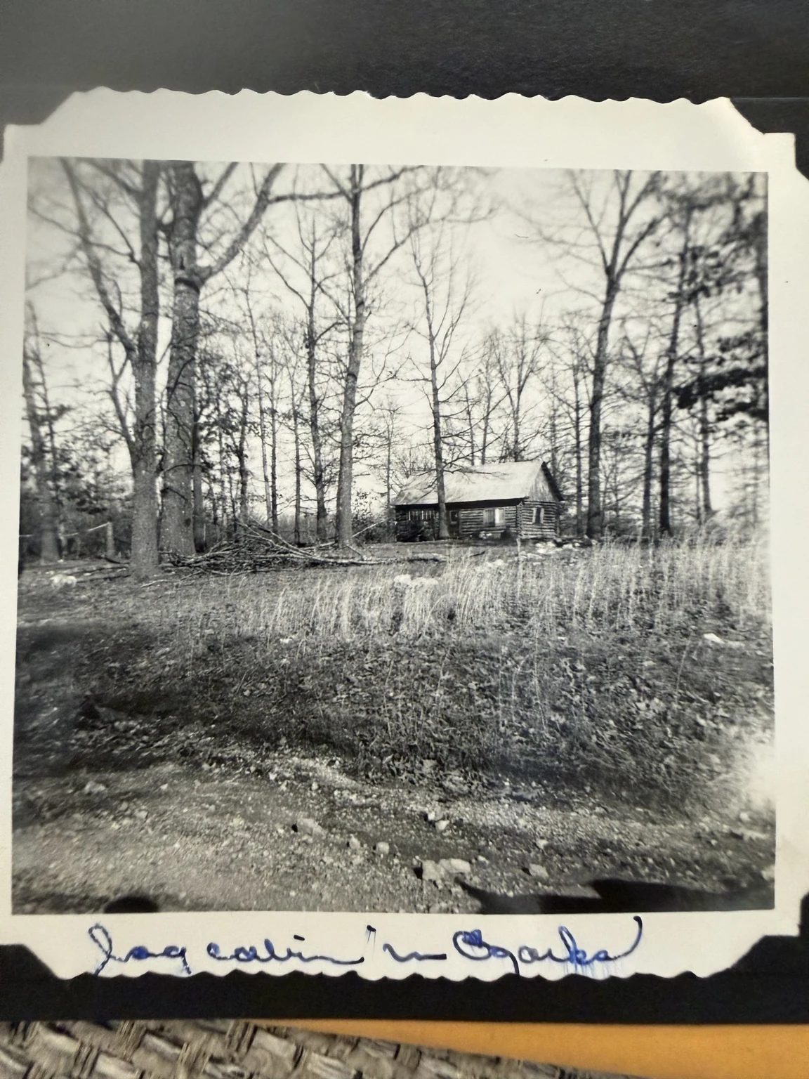 “Log cabin in Ozarks” (original caption). A cabin among trees. Exact location, ownership and date are unconfirmed.
